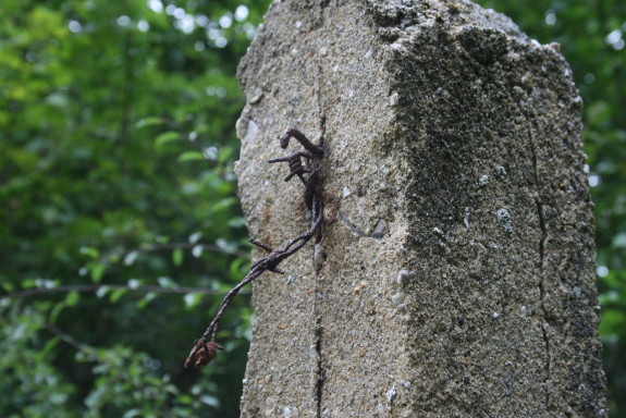 Buchenmuehle_Stacheldraht